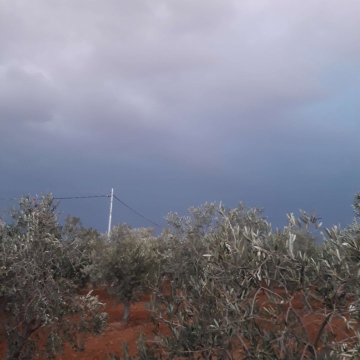 My Crowdsourcing Posts