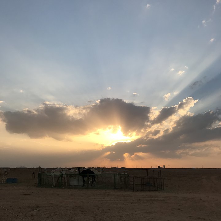 My Crowdsourcing Posts