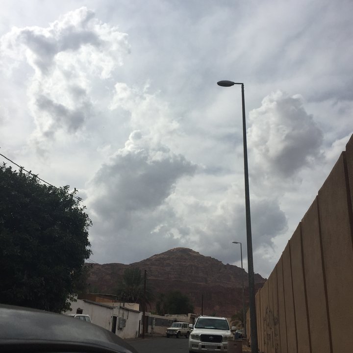 مشاركاتي في أنت الراصد