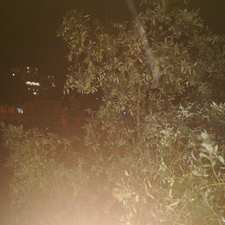 My Crowdsourcing Posts