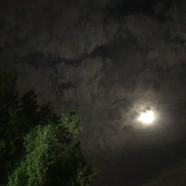 My Crowdsourcing Posts