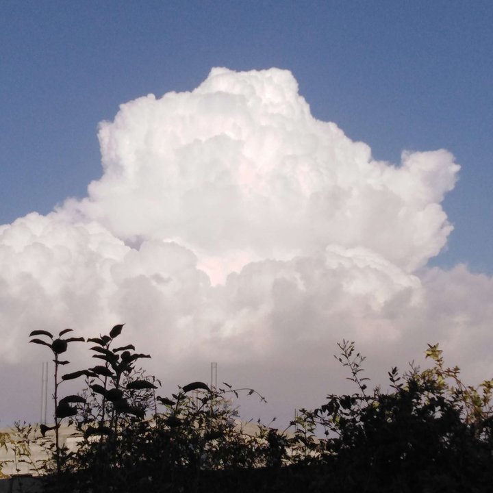 My Crowdsourcing Posts