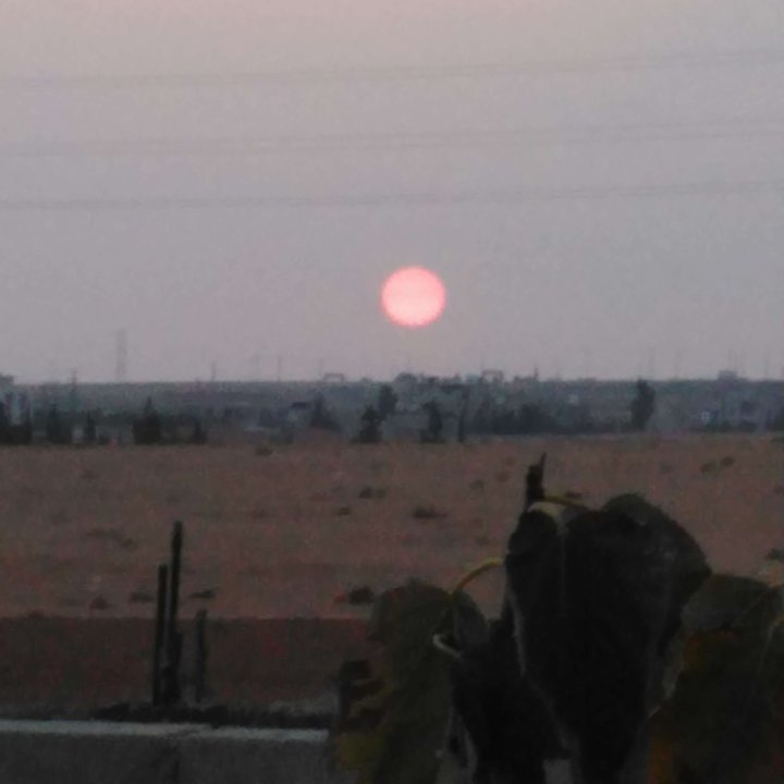 My Crowdsourcing Posts