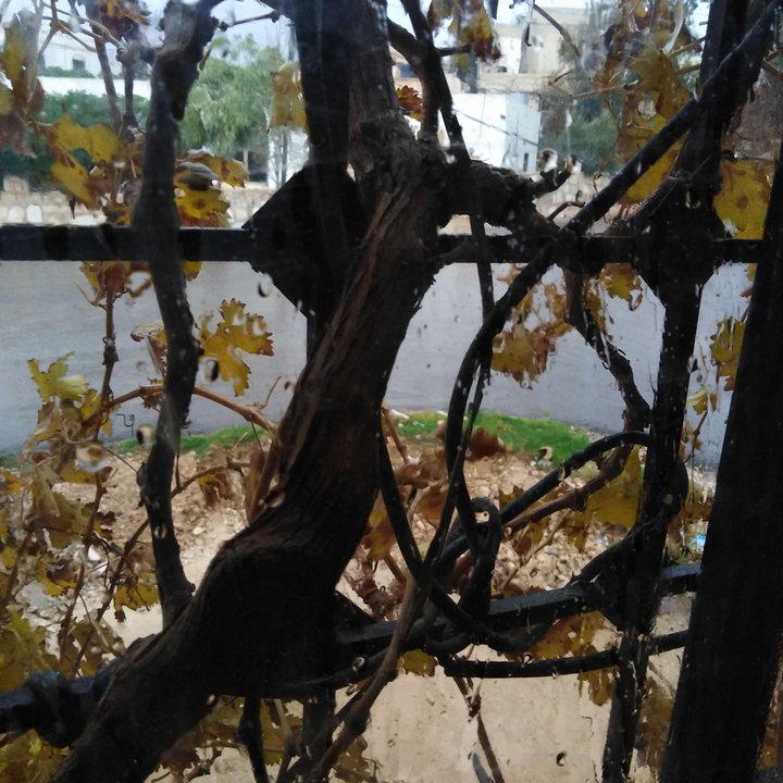 My Crowdsourcing Posts