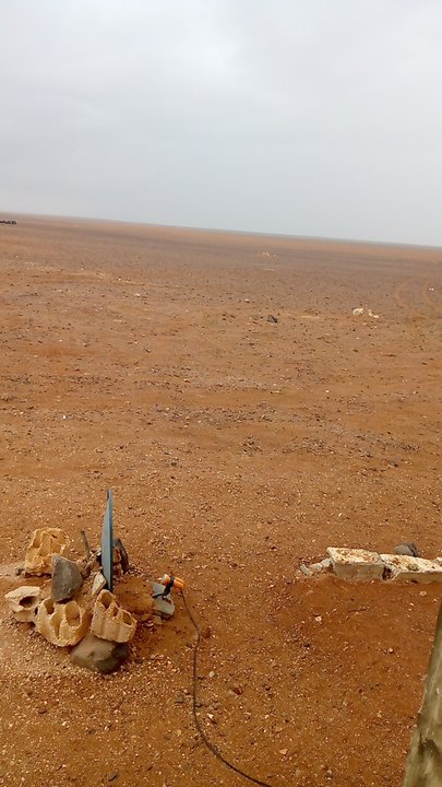 مشاركاتي في أنت الراصد