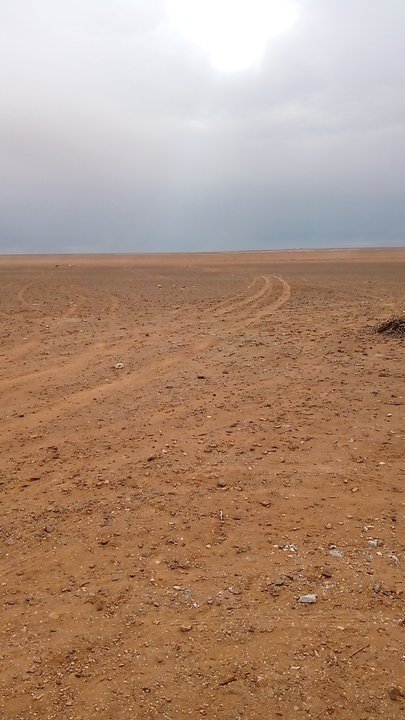 مشاركاتي في أنت الراصد