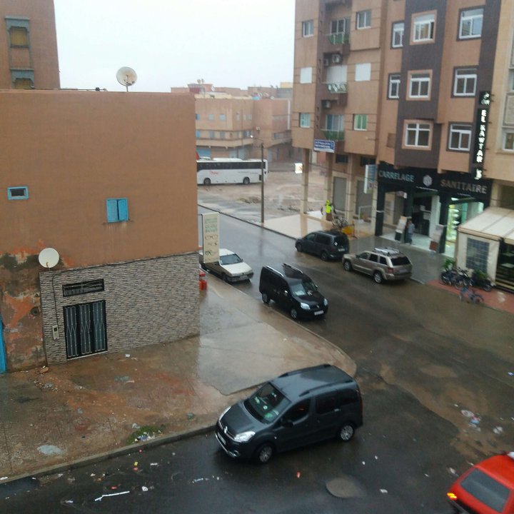 مشاركاتي في أنت الراصد