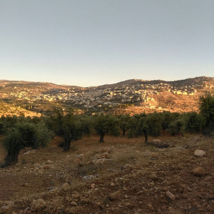 My Crowdsourcing Posts