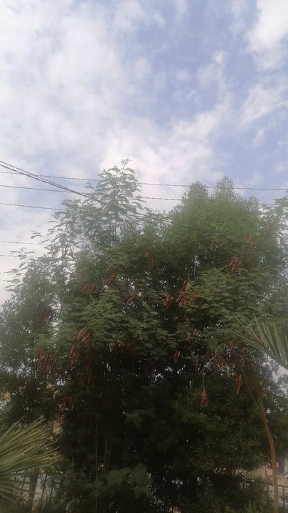 My Crowdsourcing Posts