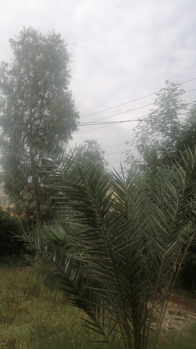 My Crowdsourcing Posts