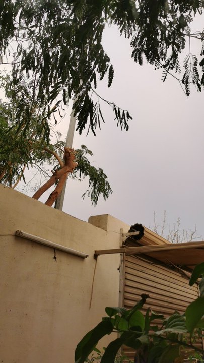 مشاركاتي في أنت الراصد