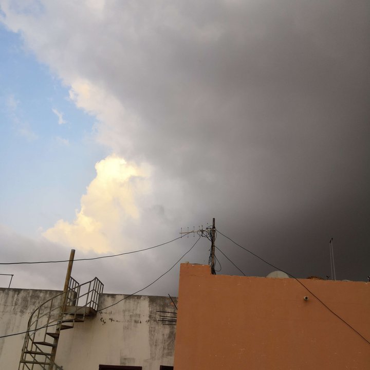 مشاركاتي في أنت الراصد