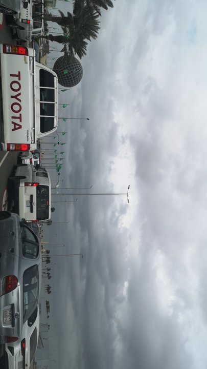 مشاركاتي في أنت الراصد