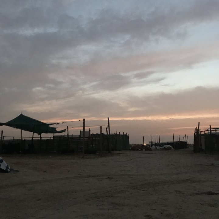 My Crowdsourcing Posts