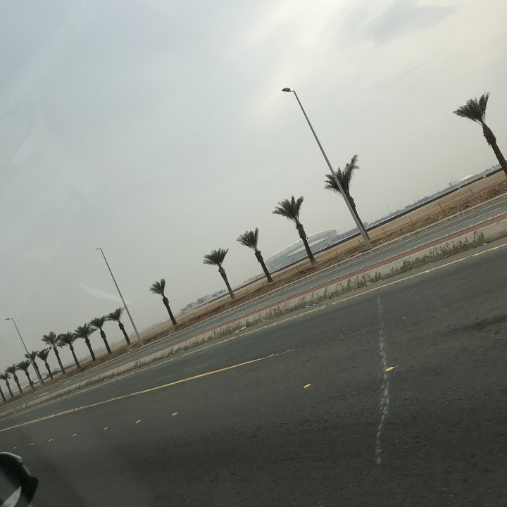 مشاركاتي في أنت الراصد