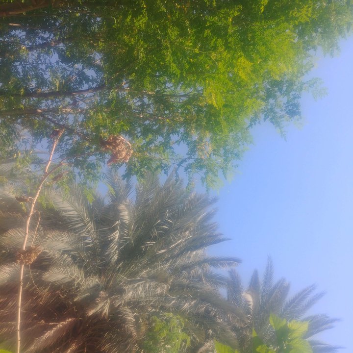 My Crowdsourcing Posts