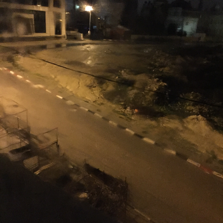 مشاركاتي في أنت الراصد