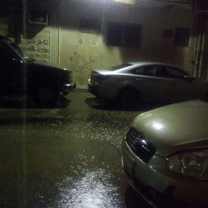 مشاركاتي في أنت الراصد