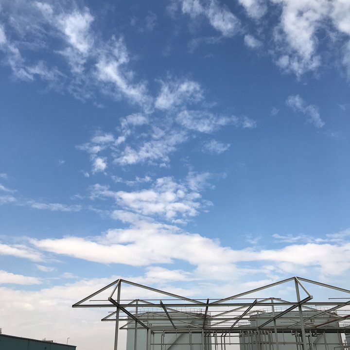 My Crowdsourcing Posts