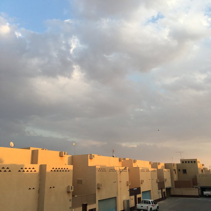 مشاركاتي في أنت الراصد