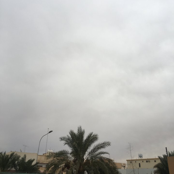 مشاركاتي في أنت الراصد