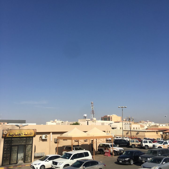 مشاركاتي في أنت الراصد