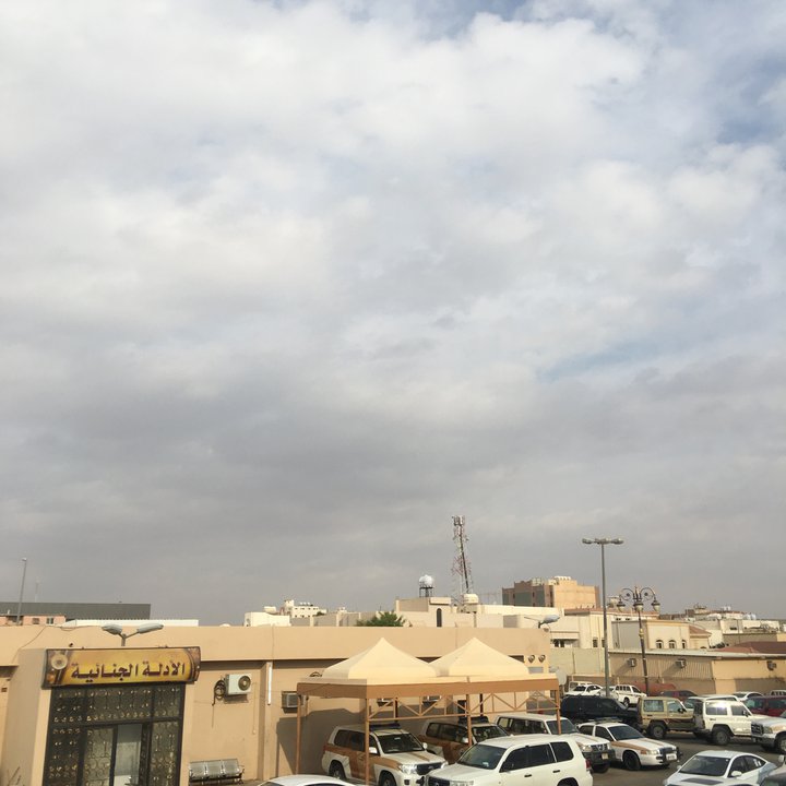 مشاركاتي في أنت الراصد