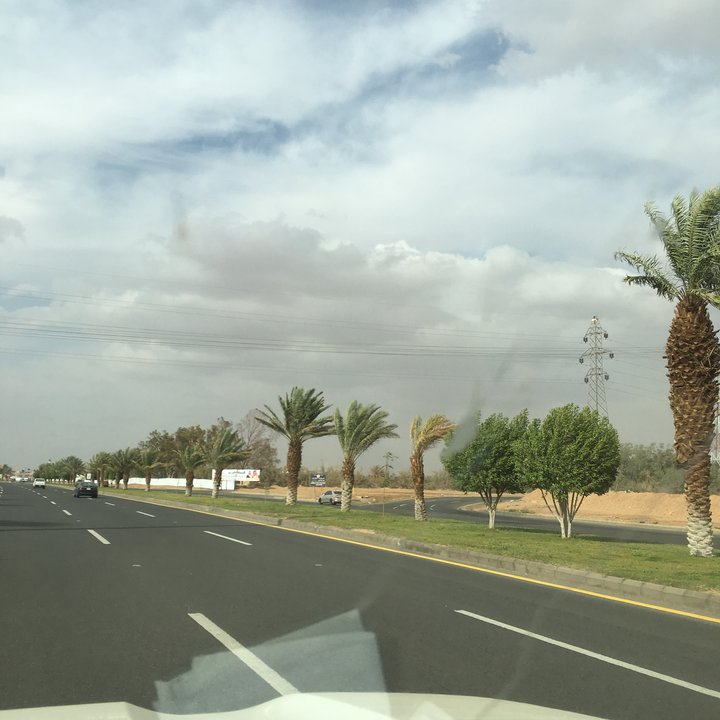 مشاركاتي في أنت الراصد