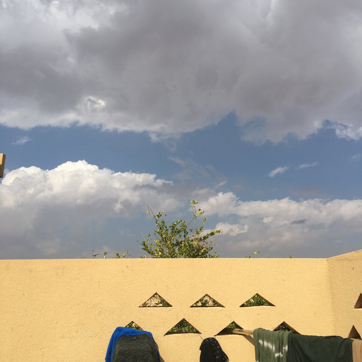 مشاركاتي في أنت الراصد