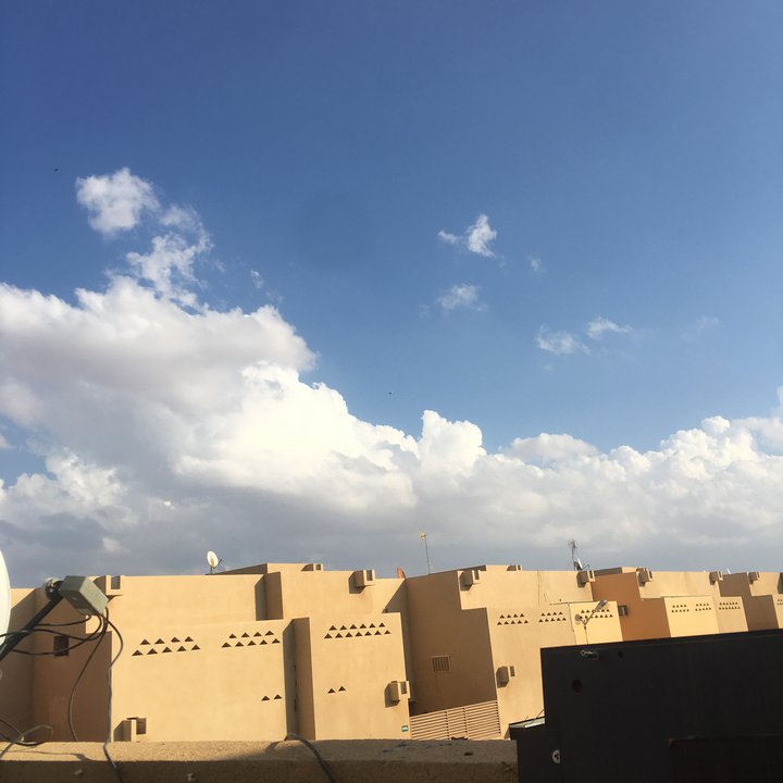 مشاركاتي في أنت الراصد