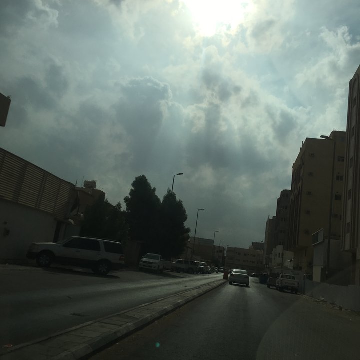 مشاركاتي في أنت الراصد