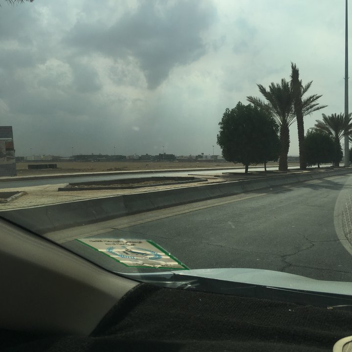 مشاركاتي في أنت الراصد