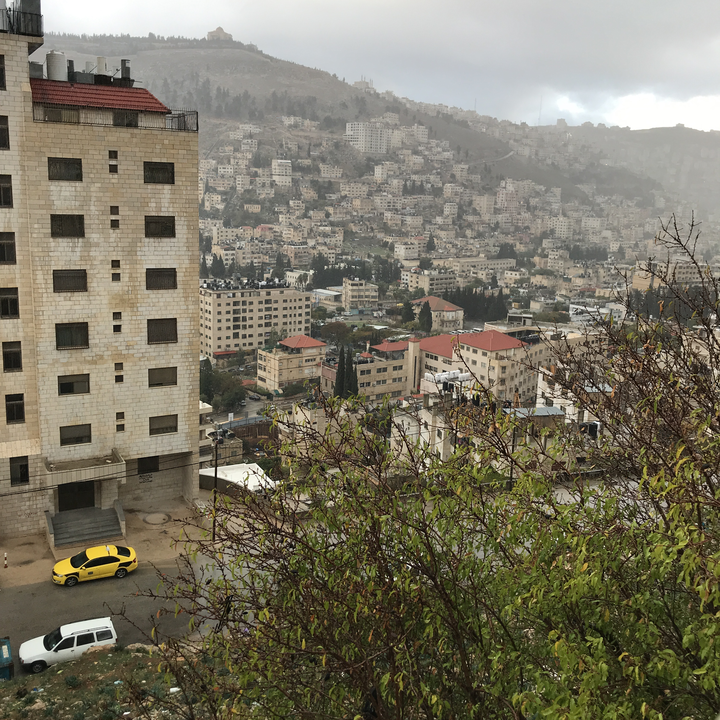 مشاركاتي في أنت الراصد