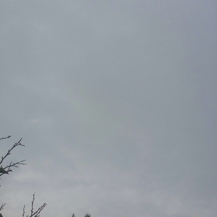 My Crowdsourcing Posts