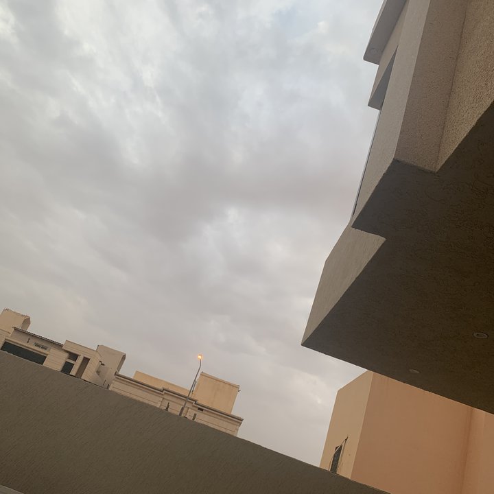 مشاركاتي في أنت الراصد