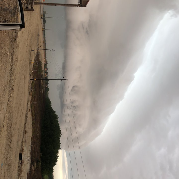 مشاركاتي في أنت الراصد