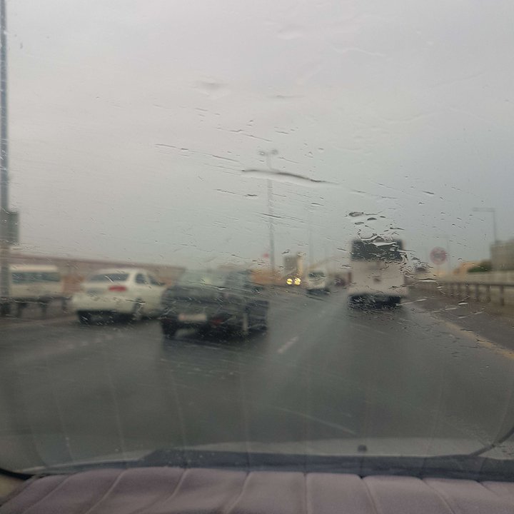 مشاركاتي في أنت الراصد