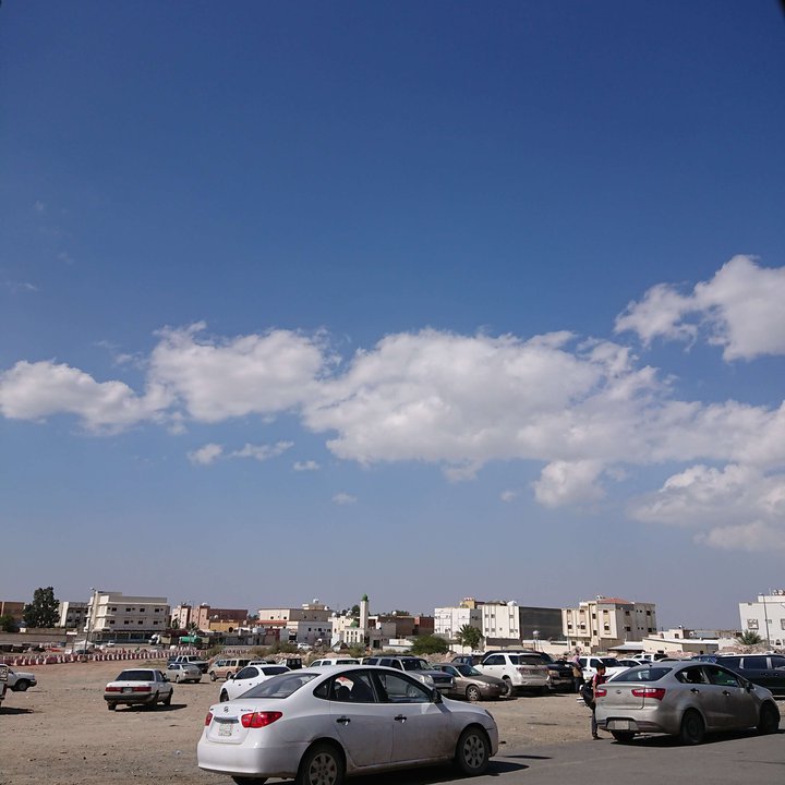 مشاركاتي في أنت الراصد