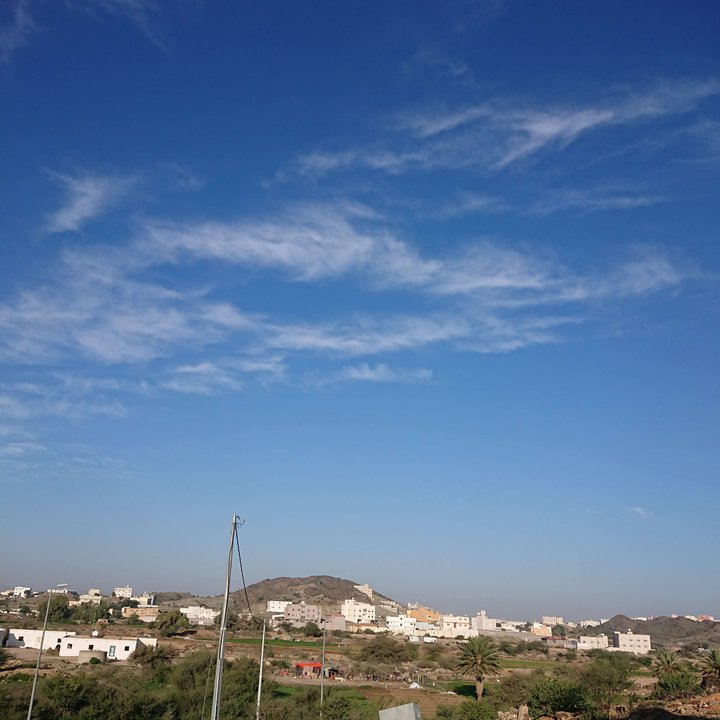 مشاركاتي في أنت الراصد