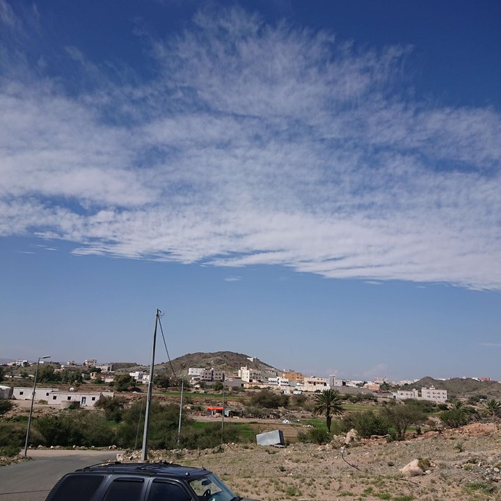 مشاركاتي في أنت الراصد