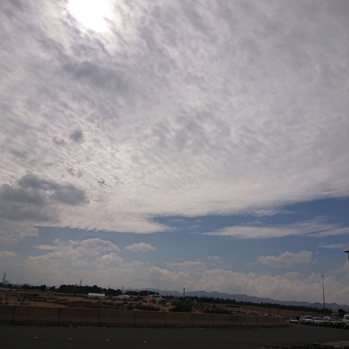 مشاركاتي في أنت الراصد