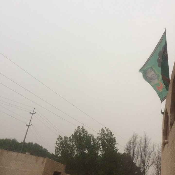 مشاركاتي في أنت الراصد