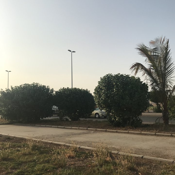 My Crowdsourcing Posts