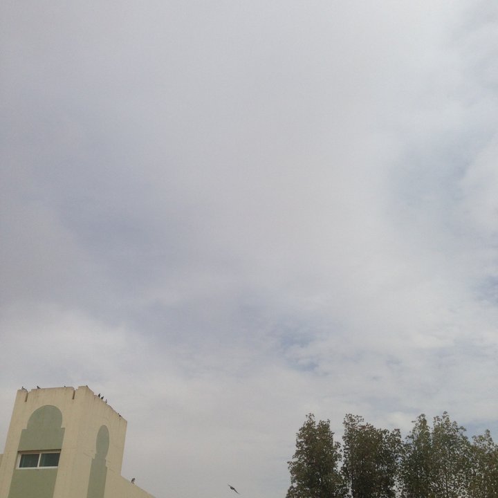 My Crowdsourcing Posts