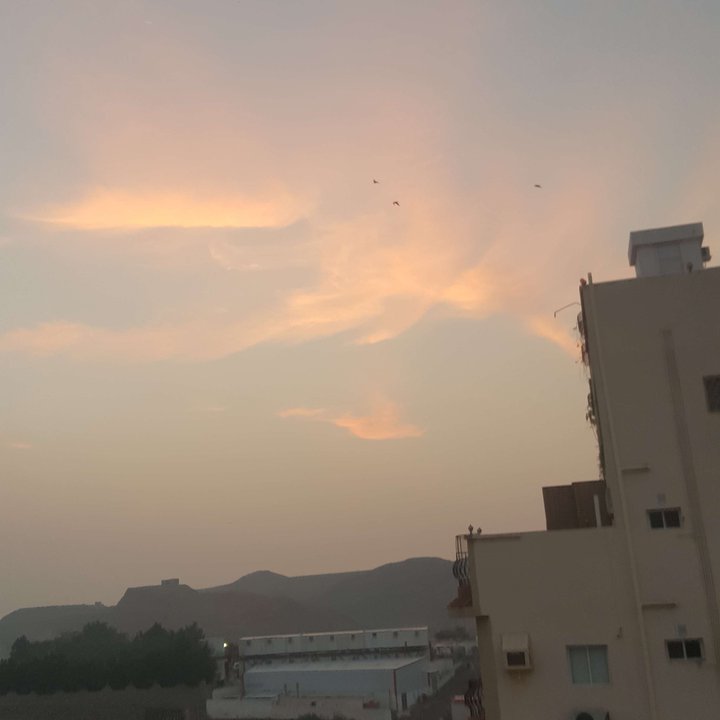 مشاركاتي في أنت الراصد