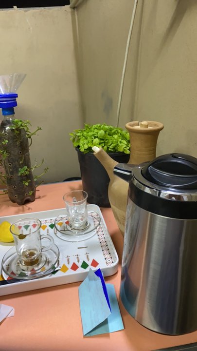 مشاركاتي في أنت الراصد