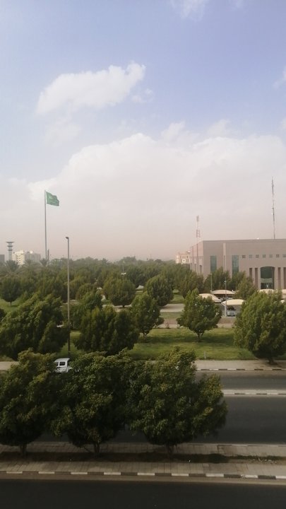 مشاركاتي في أنت الراصد