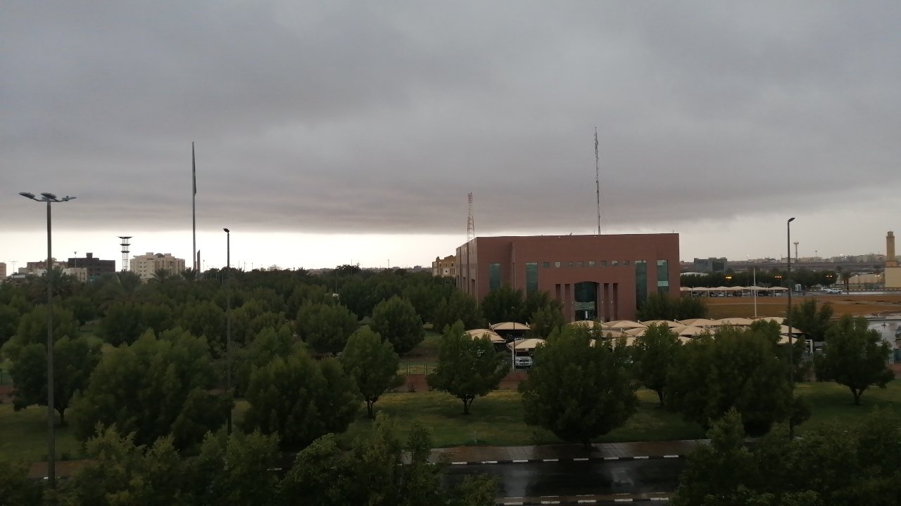 مشاركاتي في أنت الراصد