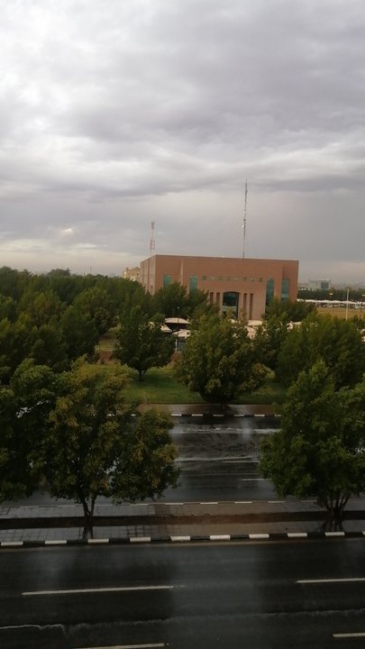 مشاركاتي في أنت الراصد