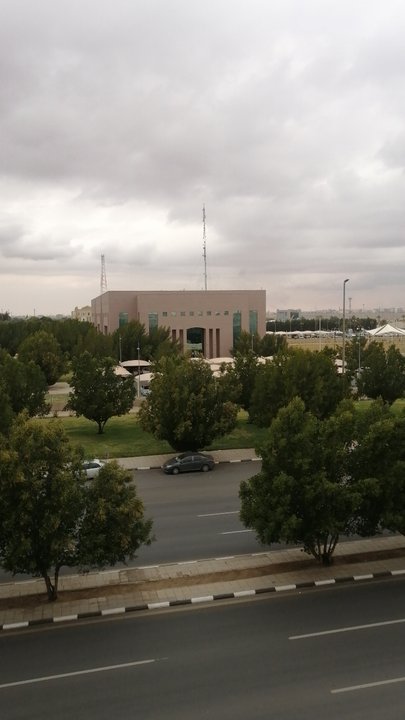 مشاركاتي في أنت الراصد